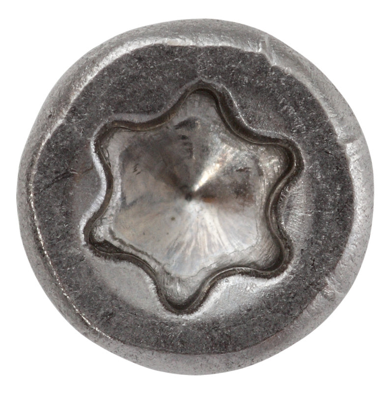 Tornillo para vallas, acero inoxidable A2 con punta