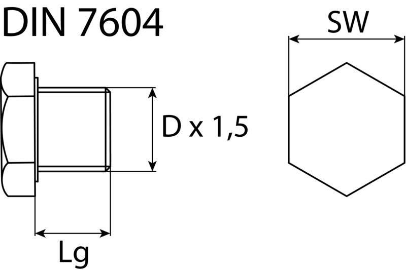 Bouchon de vidange M14 x 1,5 x 12, en acier phosphaté