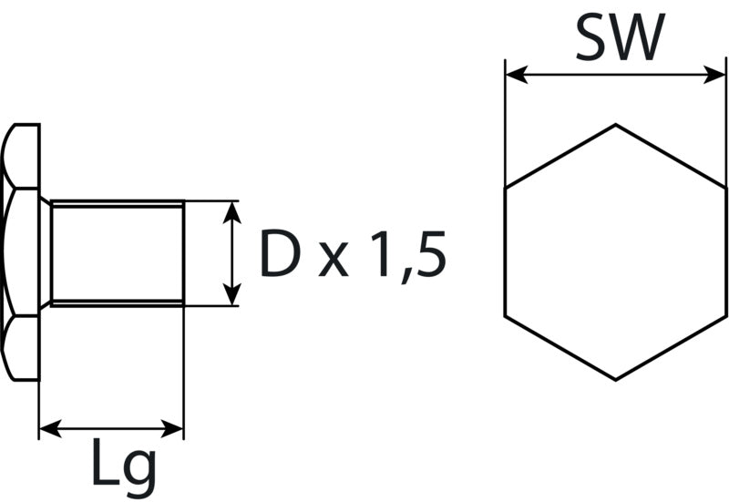 Bouchon de vidange M12 x 1,5 x 10,5, en acier zingué
