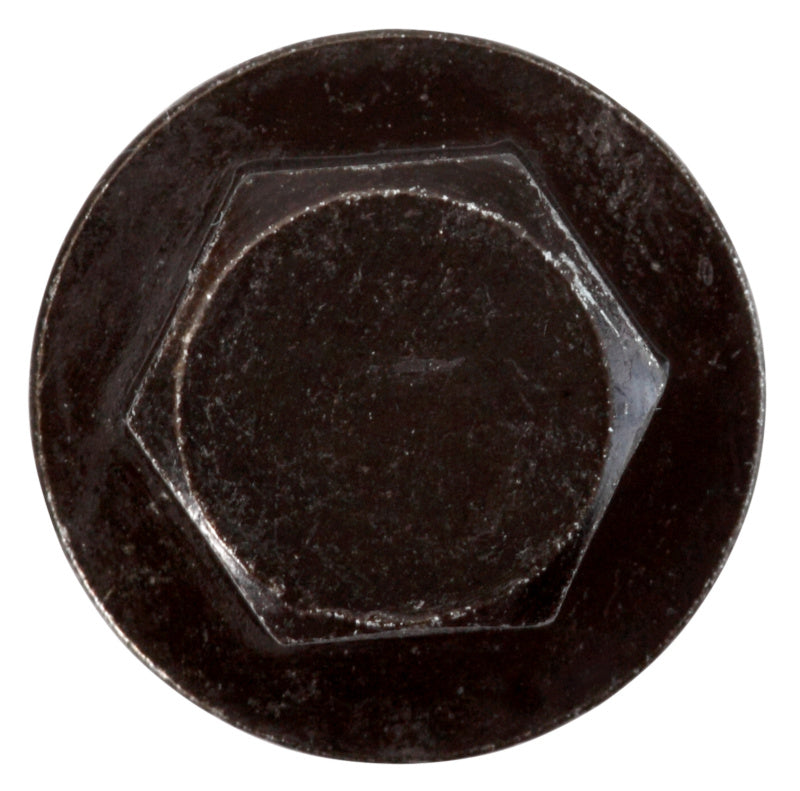 Tapón de purga de aceite con anillo sellador