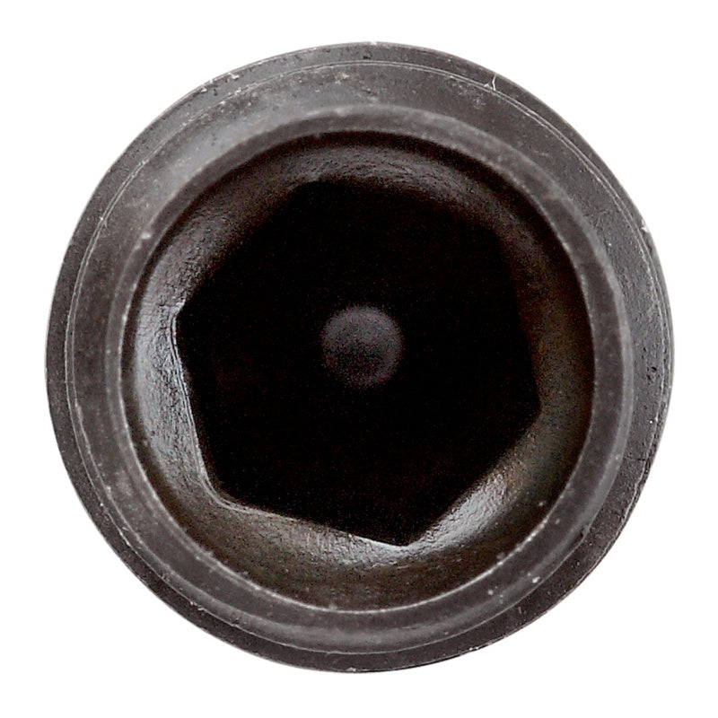 Vis pointeau, 6-pans creux, acier brut noirci, DIN 914