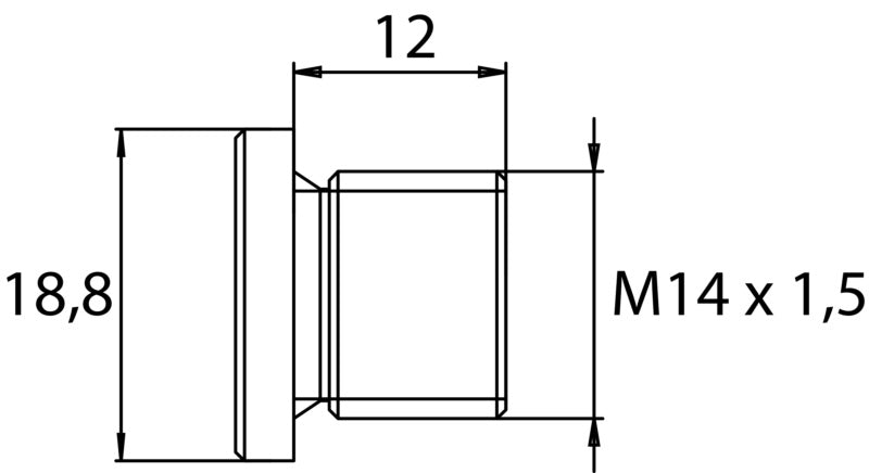 Bouchon de vidange M14 x 1,5 x 12, en acier phosphaté