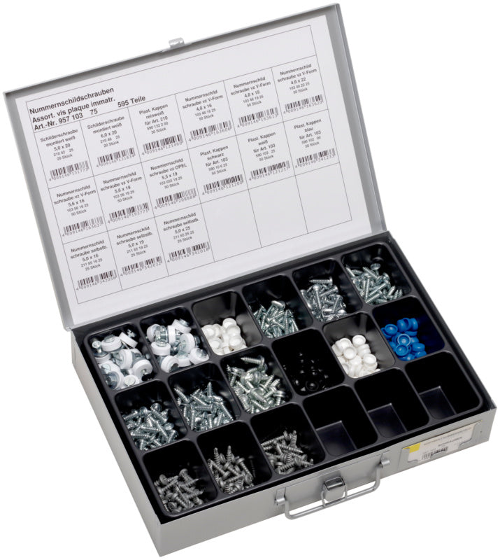 Assortiment de vis pour plaque d'immatriculation, avec capuchons
